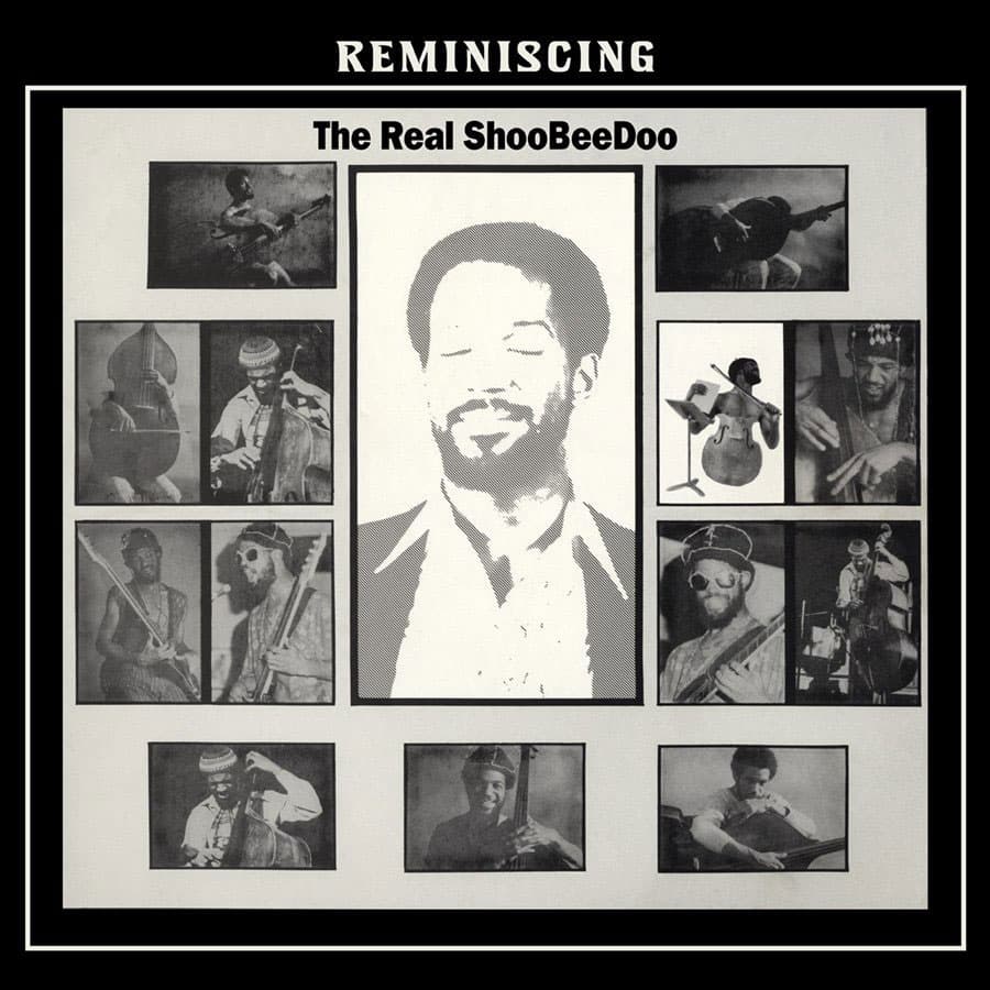 The Real ShooBeeDoo - Reminiscing - lp