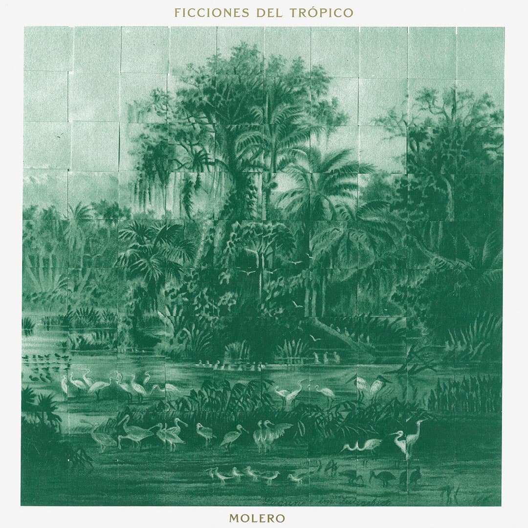 Ficciones Del Trópico