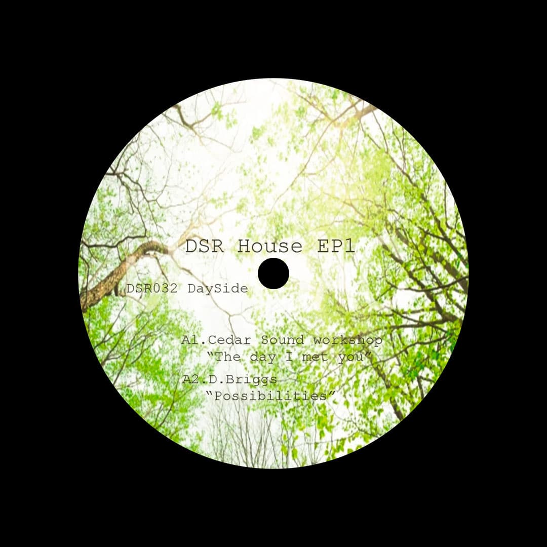 DSR House EP1 - 12