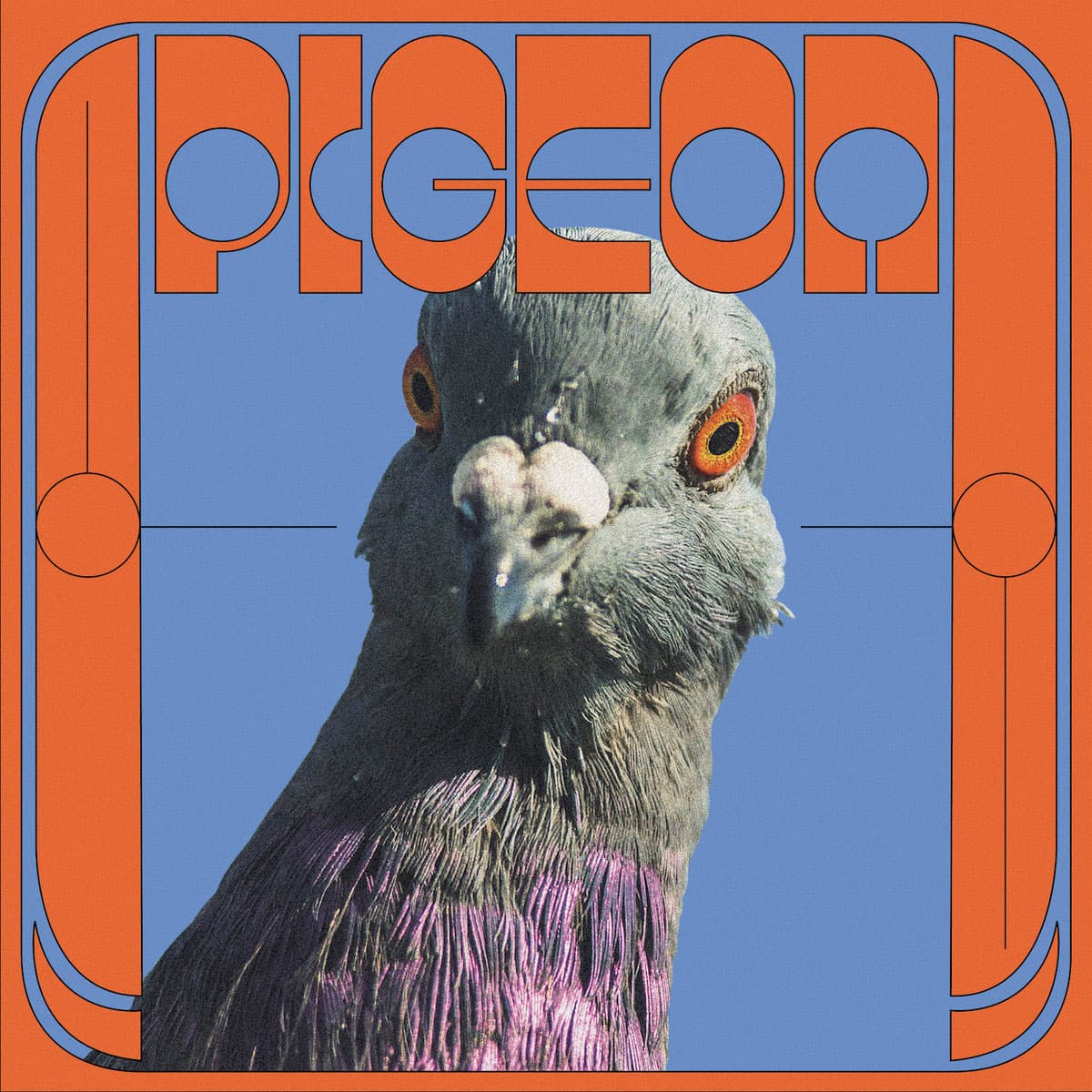 Pigeon - Yagana - 12