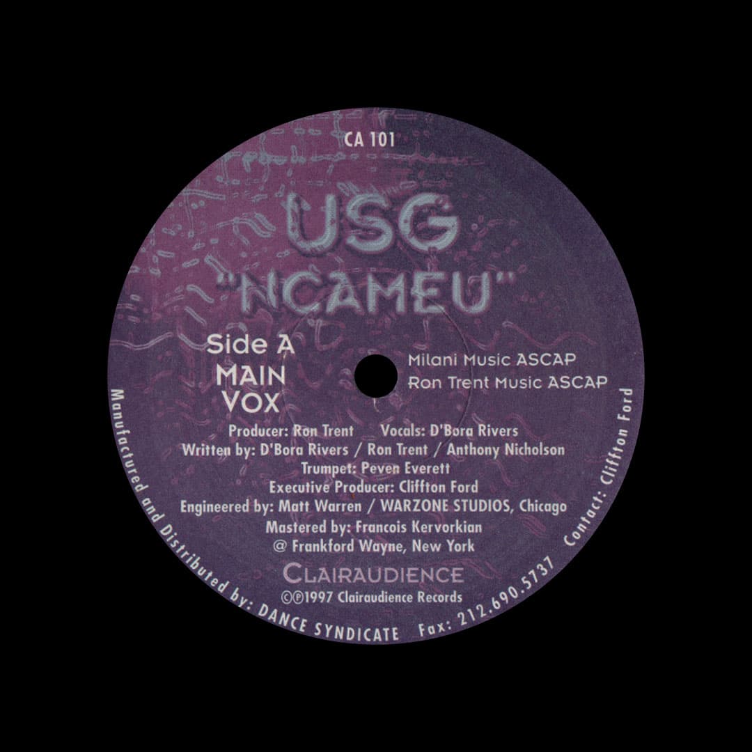 Ron Trent - Ncameu - 2x12