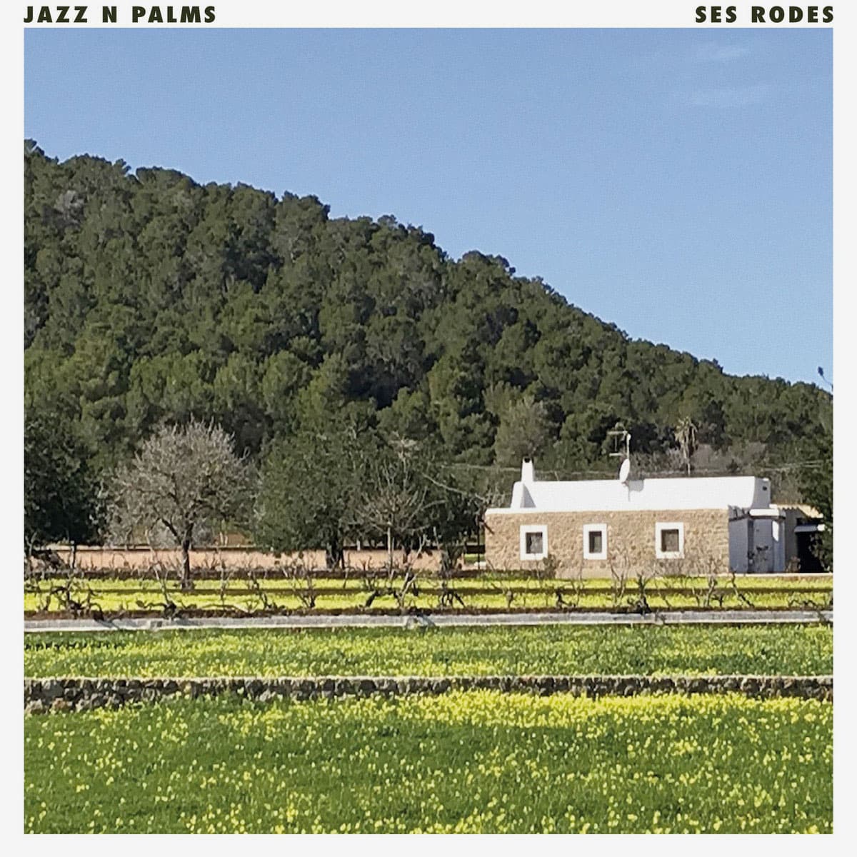 Jazz N Palms - Ses Rodes - 2xlp