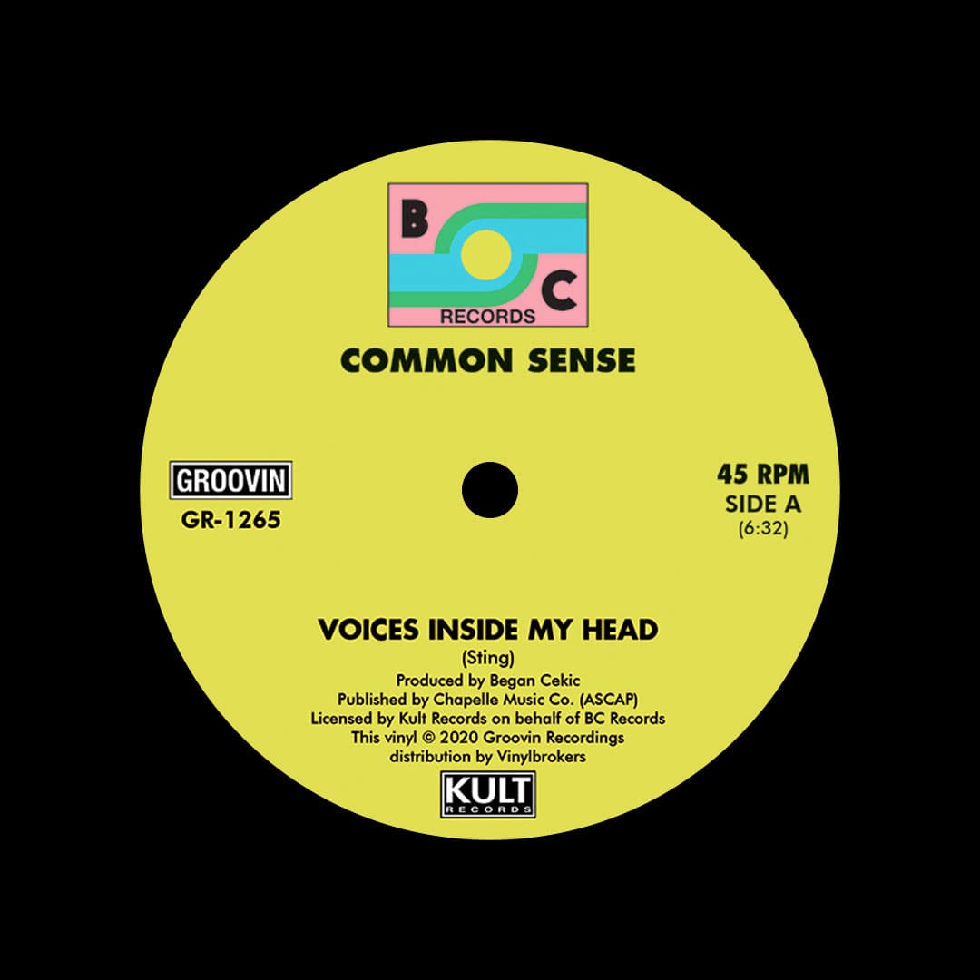 Common Sense - Voices Inside My Head - 12