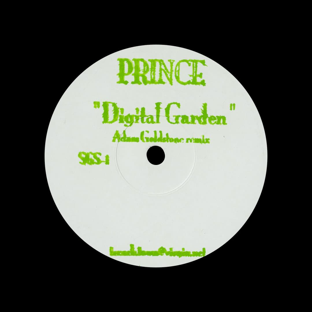 Prince - Digital Garden (remix) - 12