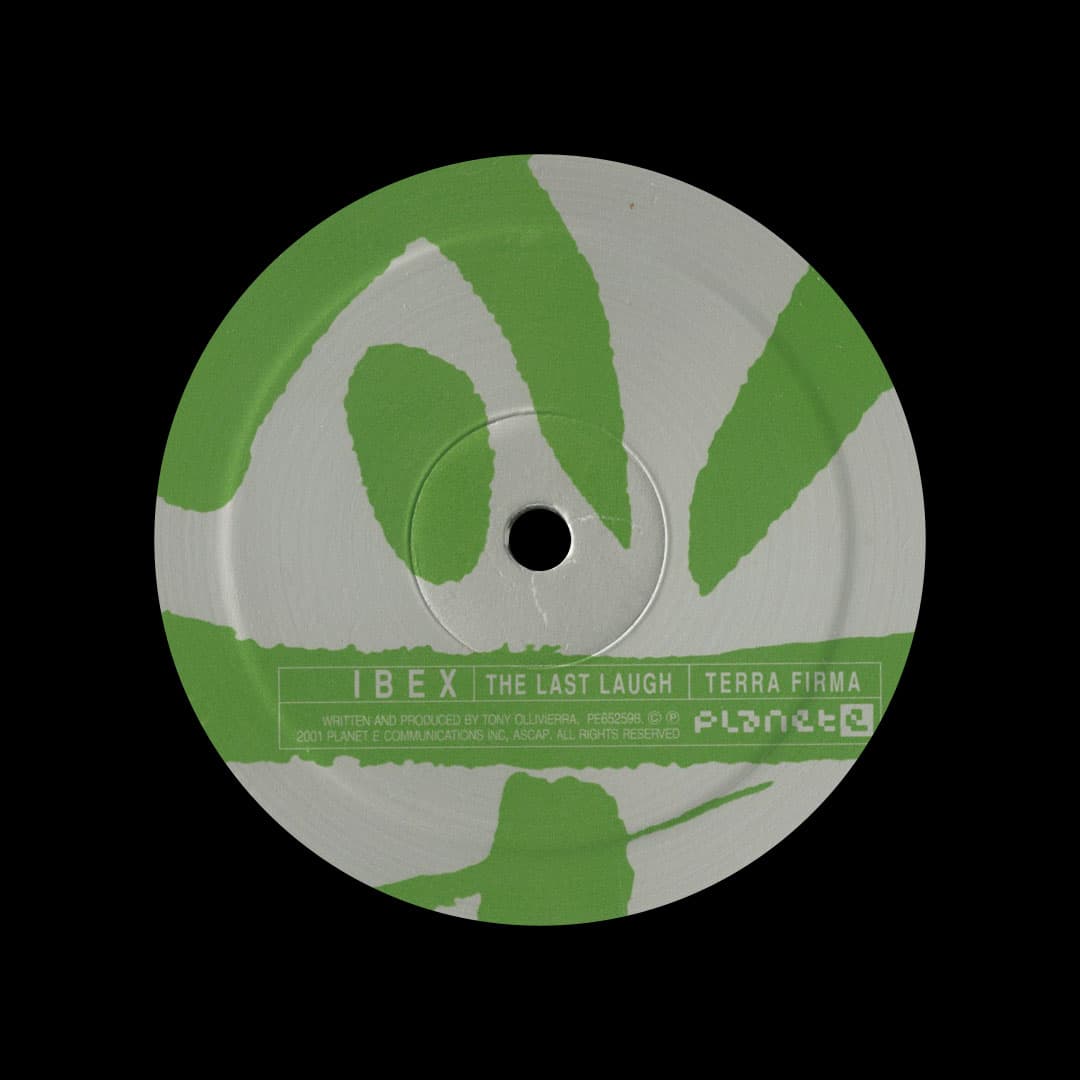 Ibex - Macamba - 12
