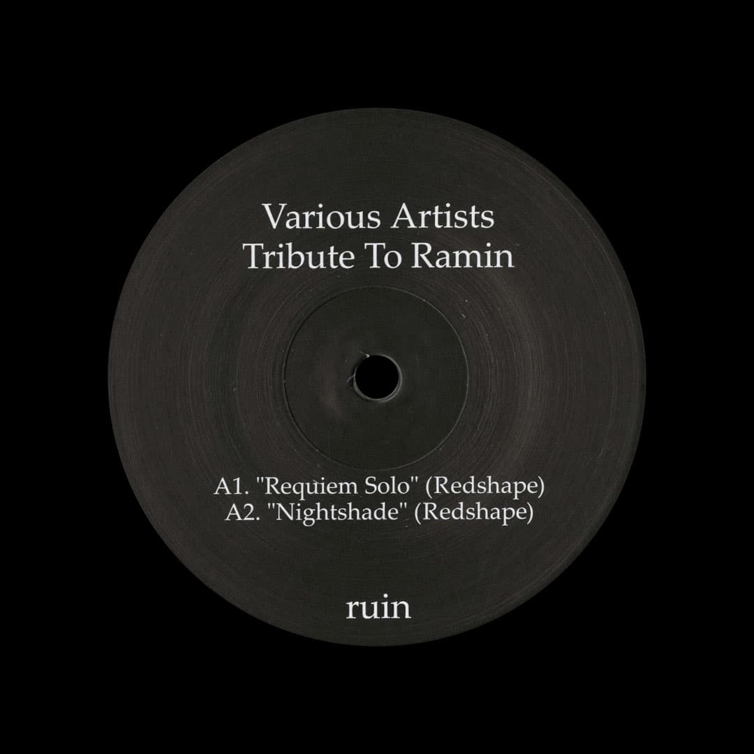 Tribute To Ramin
