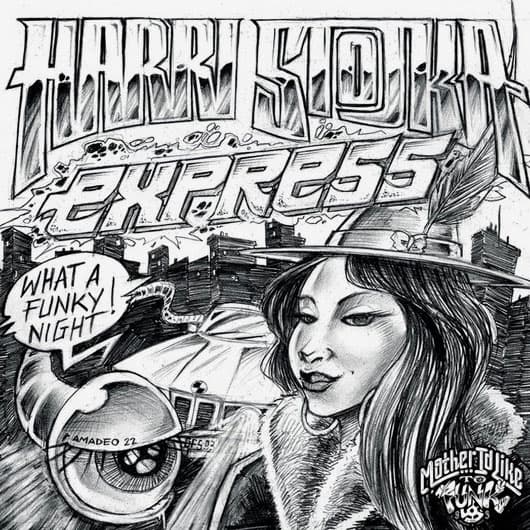 Harri Stojka Express - What A Funky Night / Marihuana - 7