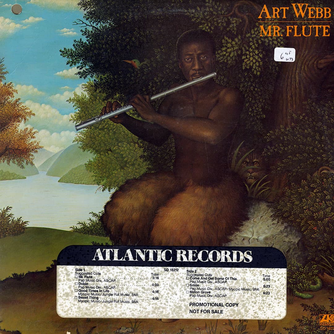 Mr Flute