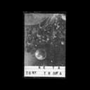 Record Club 039