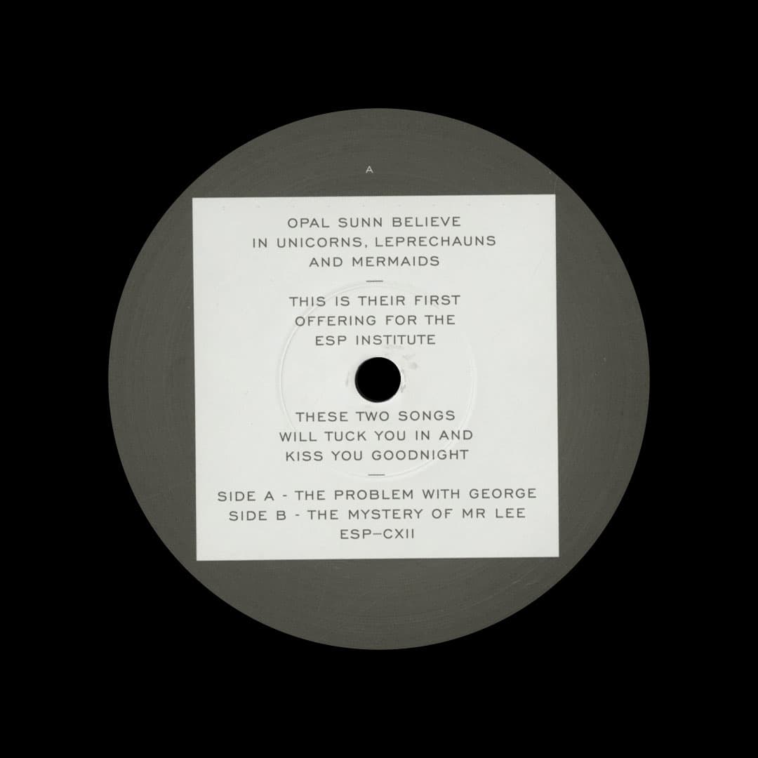 Opal Sunn - The Problem With George - 12