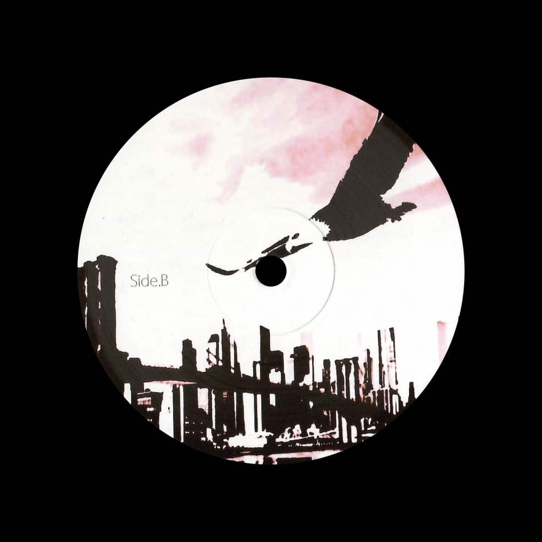 DSR038 - 12