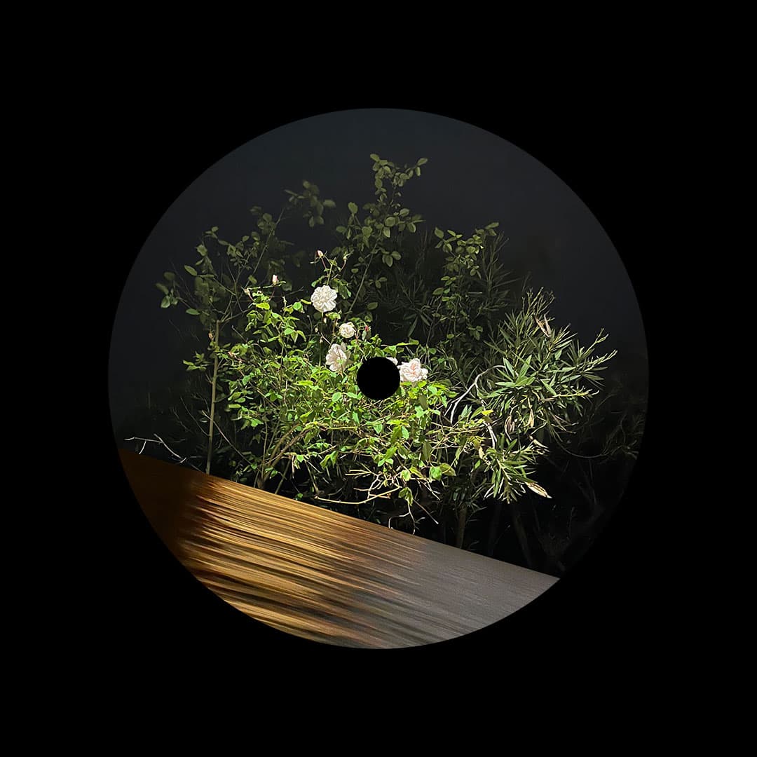 Fine Rise EP