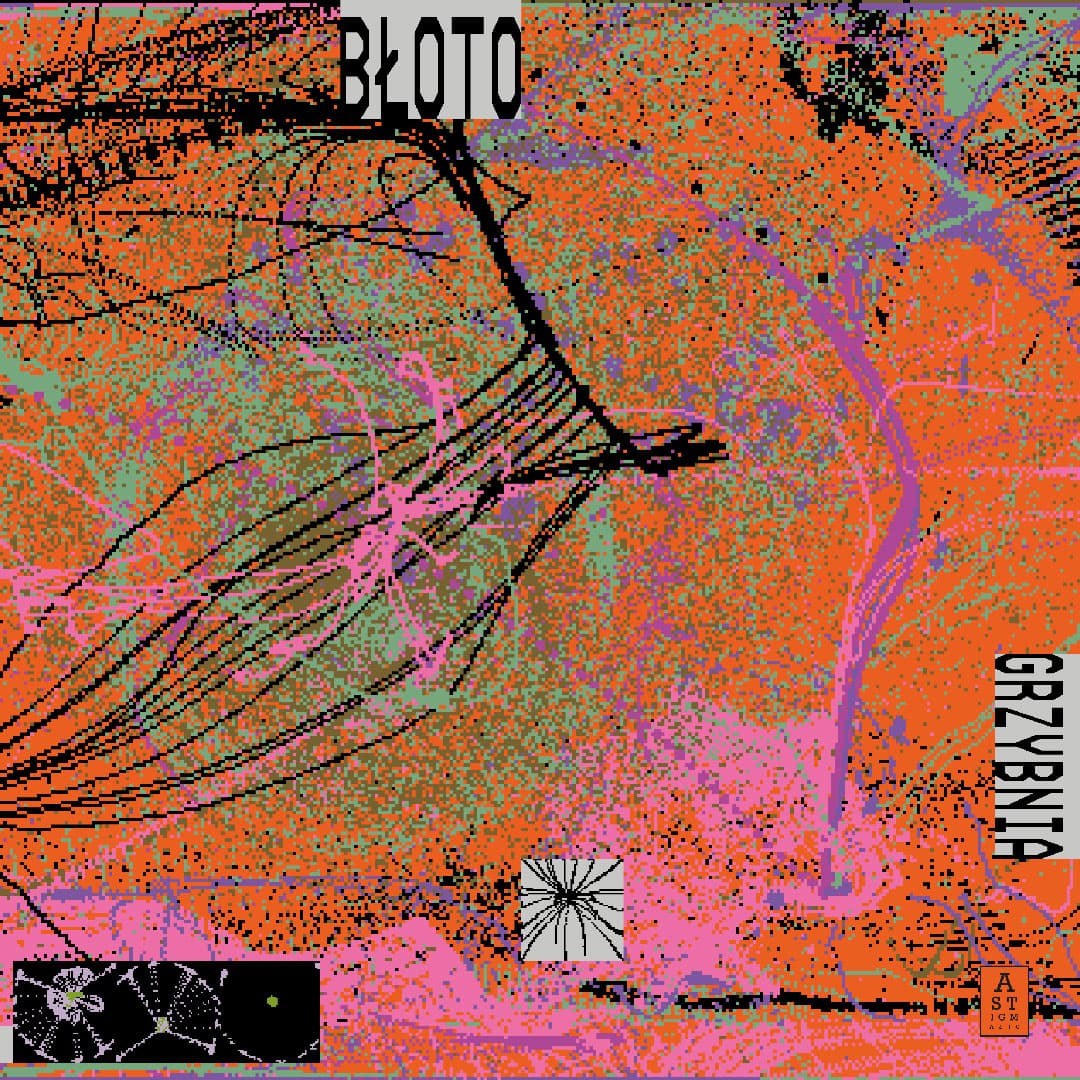Grzybnia