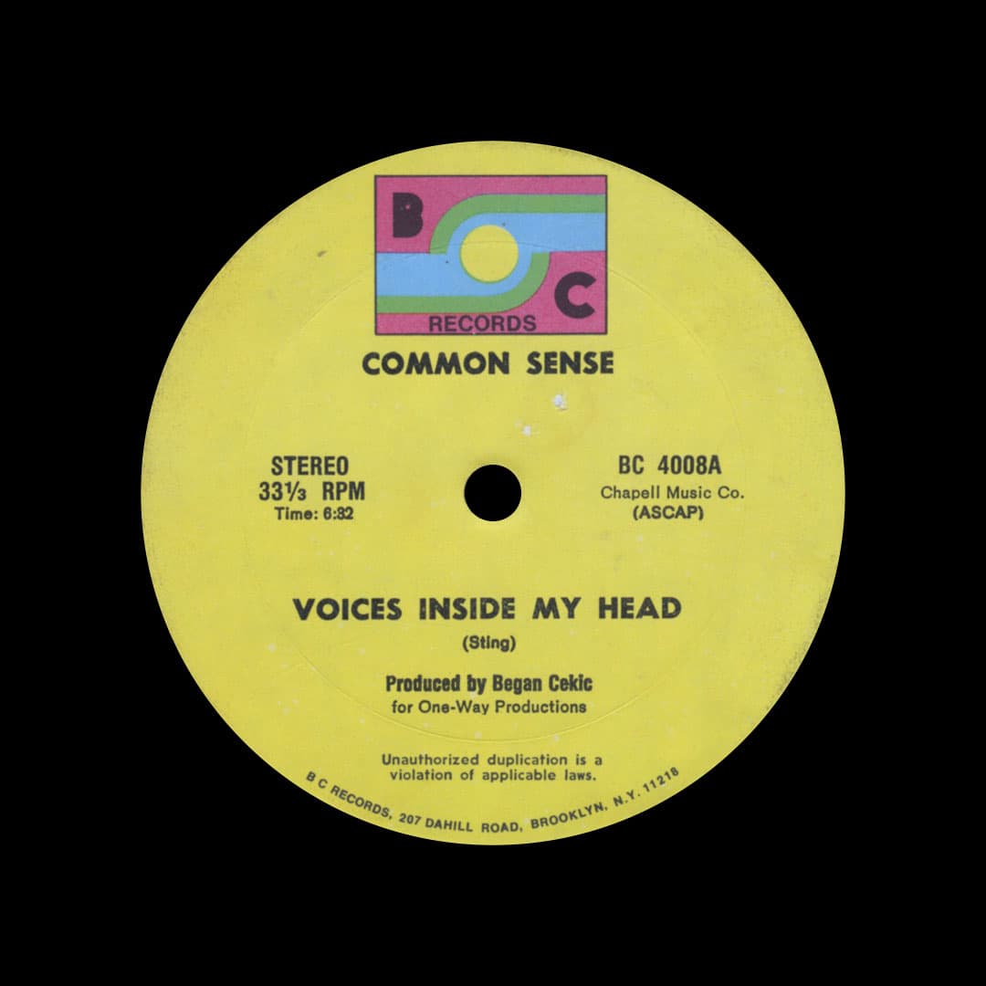 Common Sense - Voices Inside My Head - 12