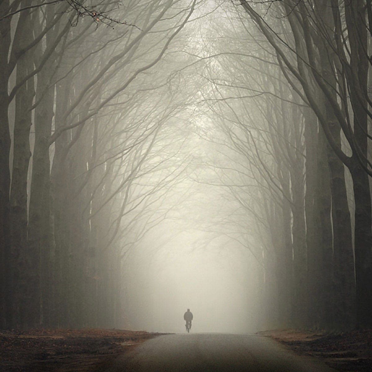 Dig It