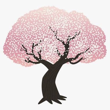 Mono No Aware