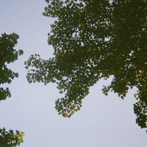Summertime