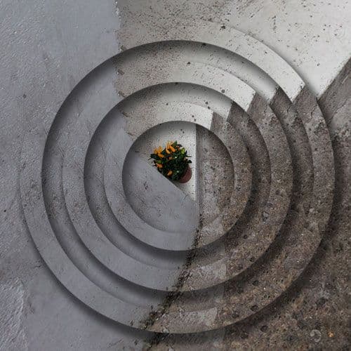 The Space Between