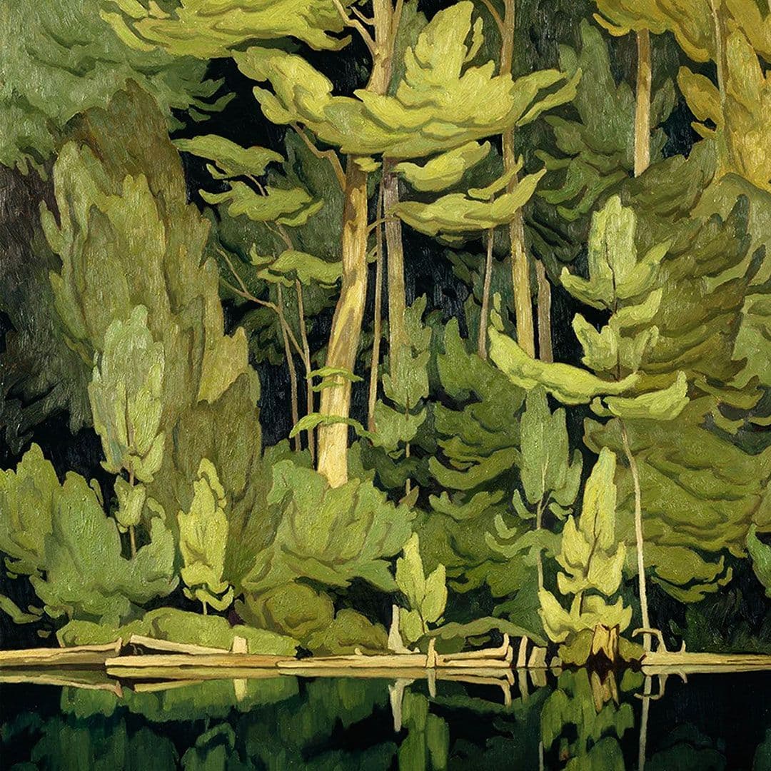Understory