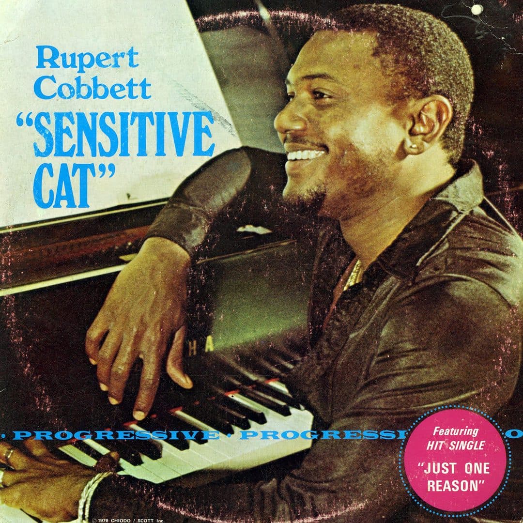 Rupert Cobbett - Sensitive Cat - lp