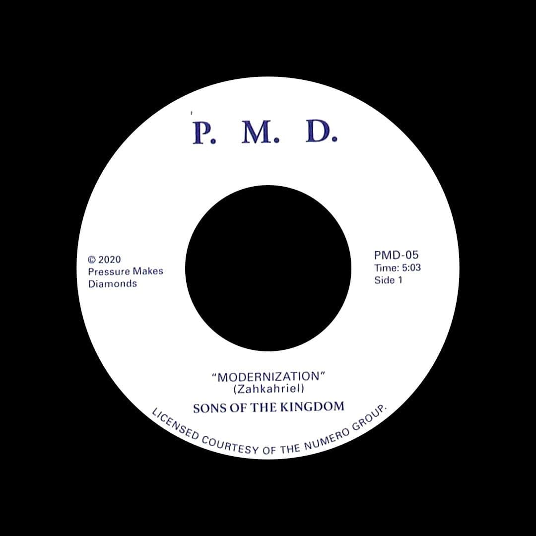 Sons Of The Kingdom - Modernization / Hey There - 7