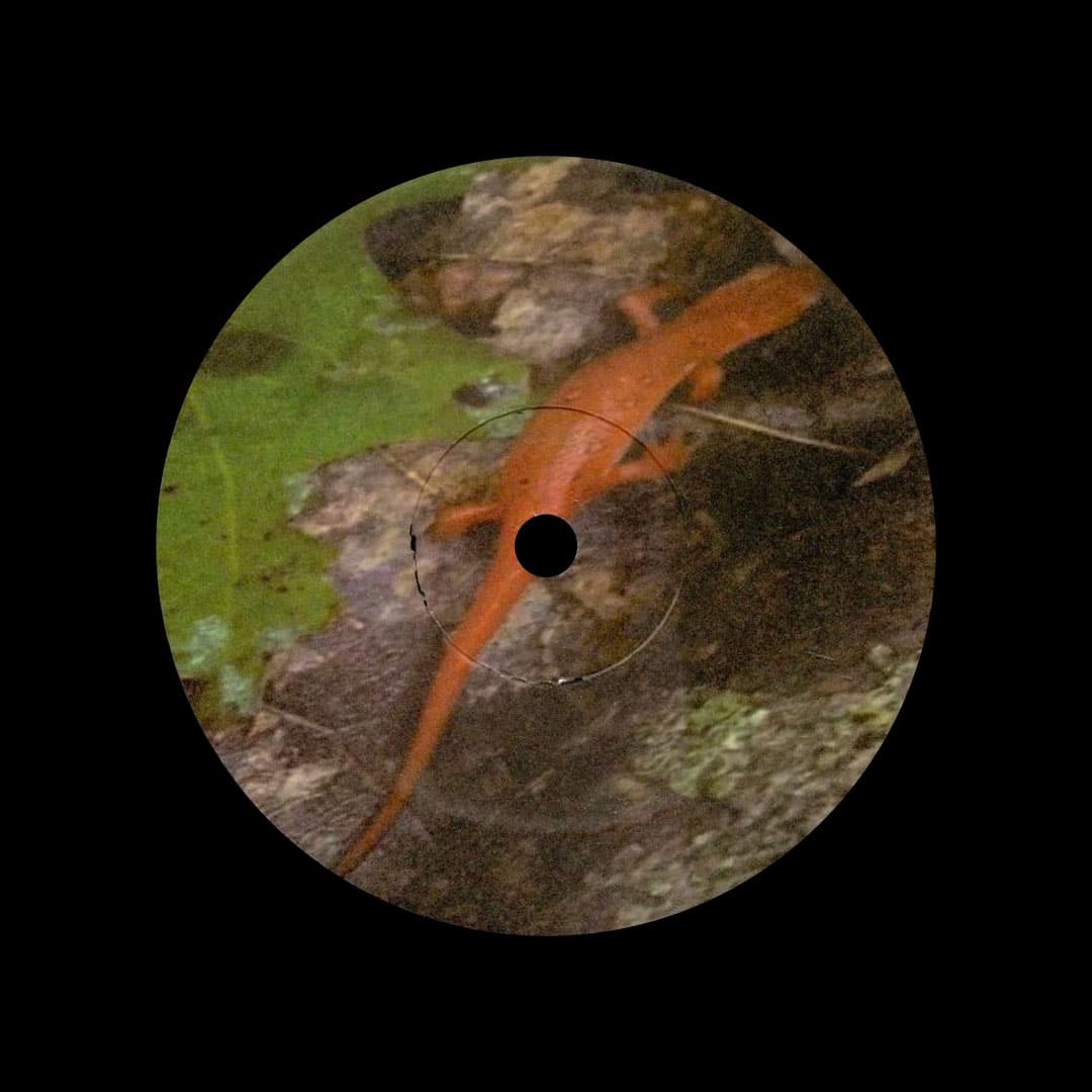 Kalim Shabazz - Pressure Cooked EP - 12