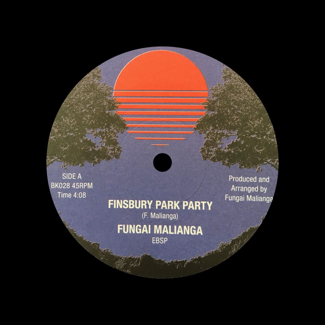 Finsbury Park Party / Things We Say Today