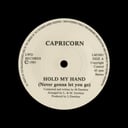 Hold My Hand (Never Gonna Let You Go)