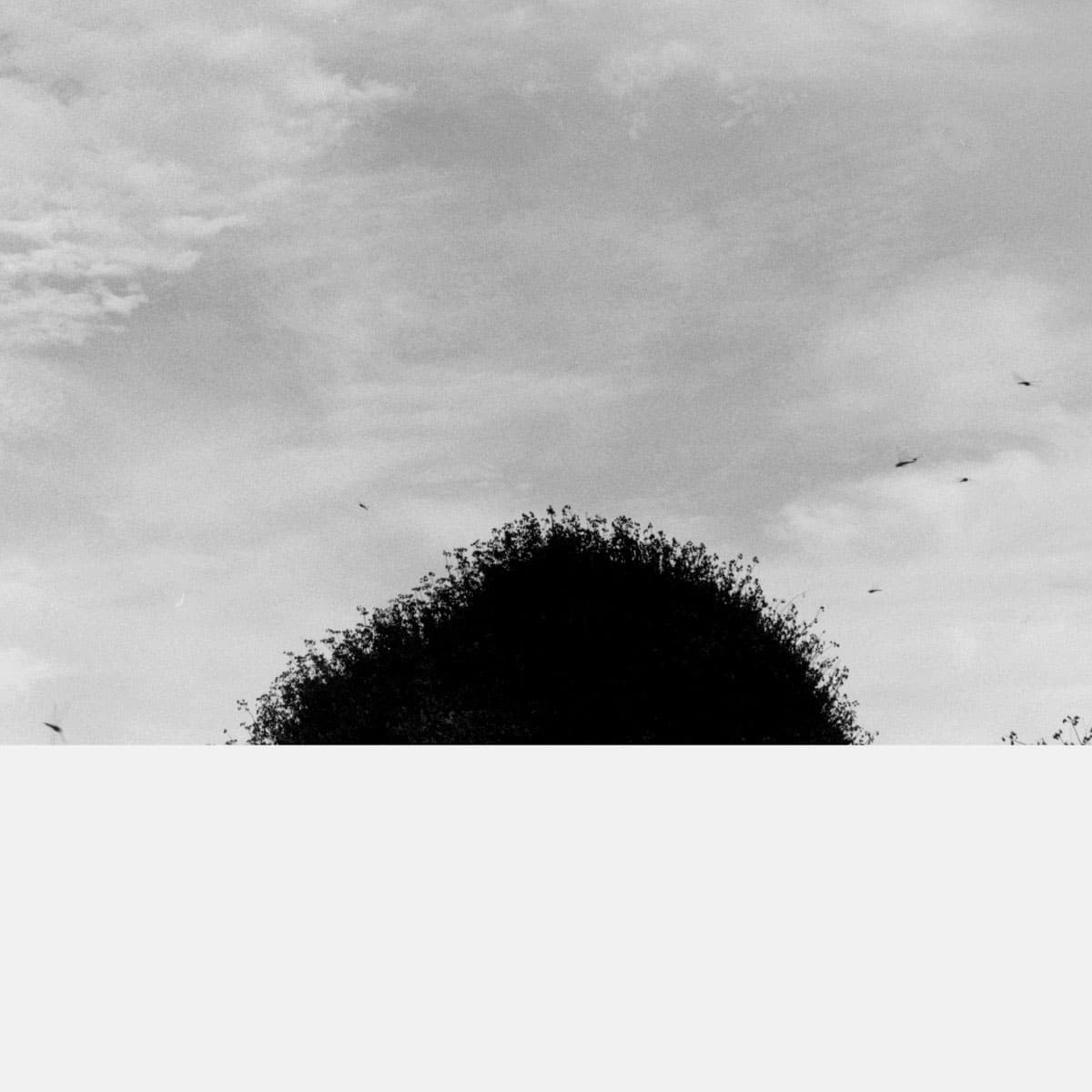 Chihei Hatakeyama - Forgotten Hill - lp