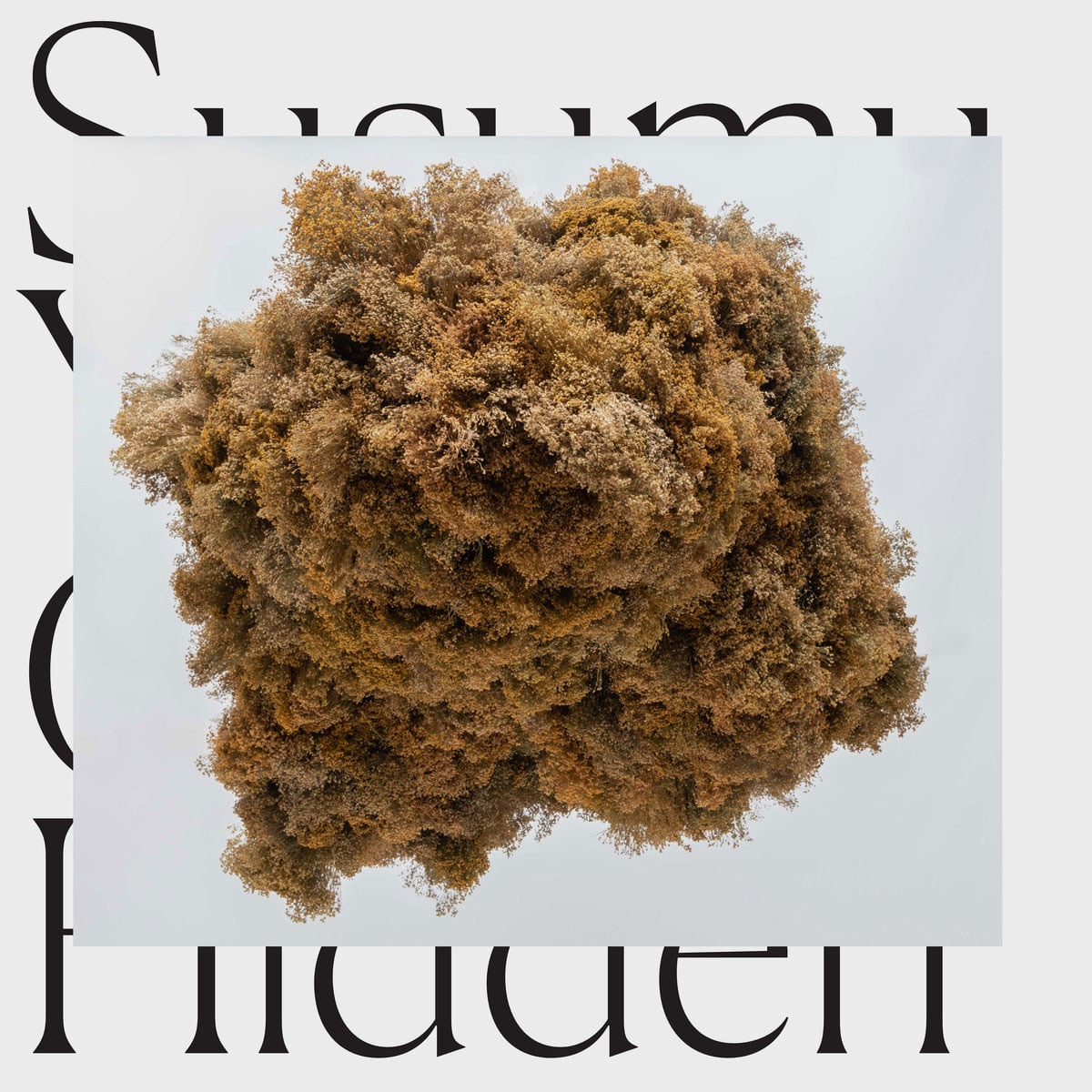 Susumu Yokota - Cloud Hidden - lp