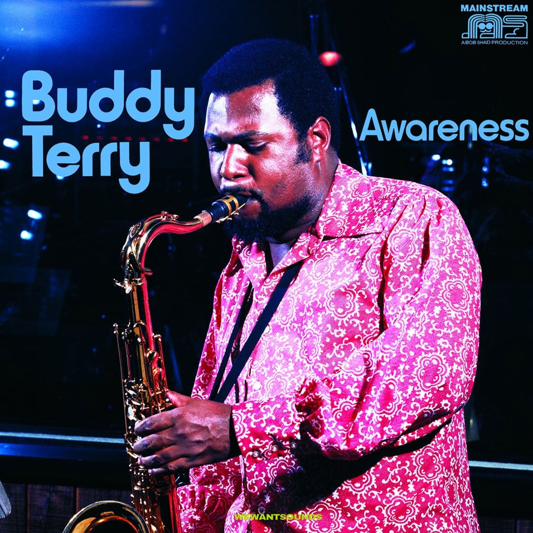 Buddy Terry - Awareness - lp