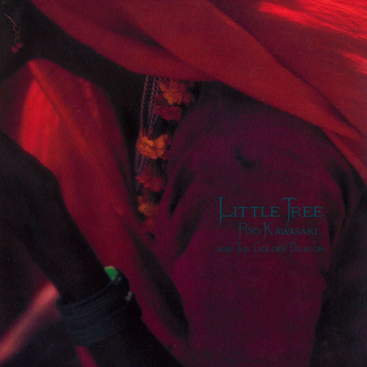 Ryo Kawasaki - Little Tree - lp