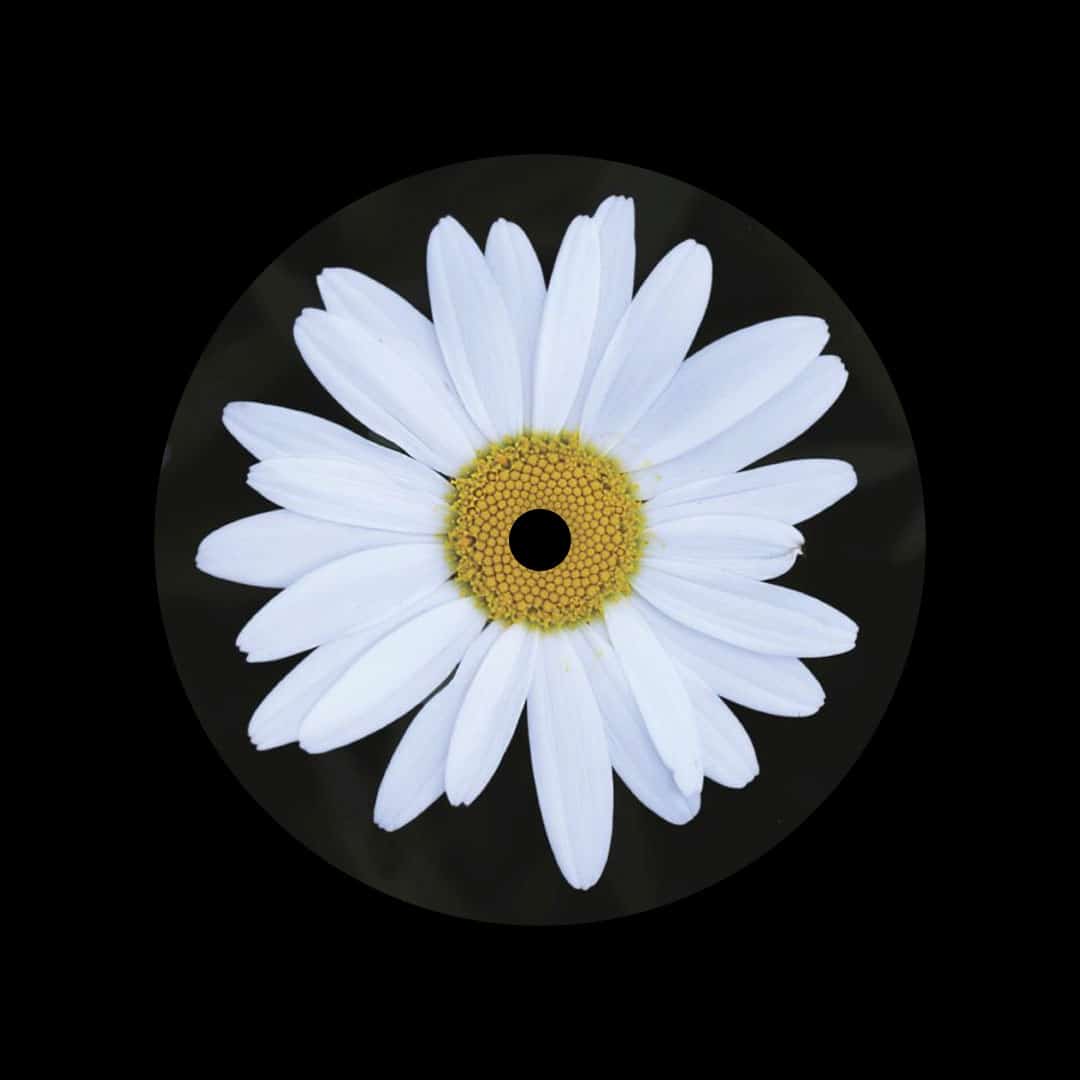 Kalim Shabazz - Joy - 12