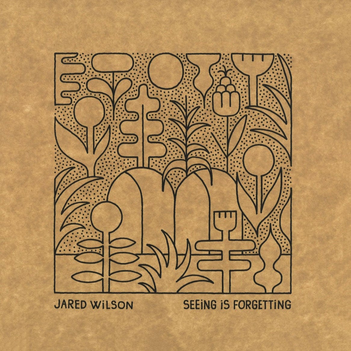 Seeing Is Forgetting