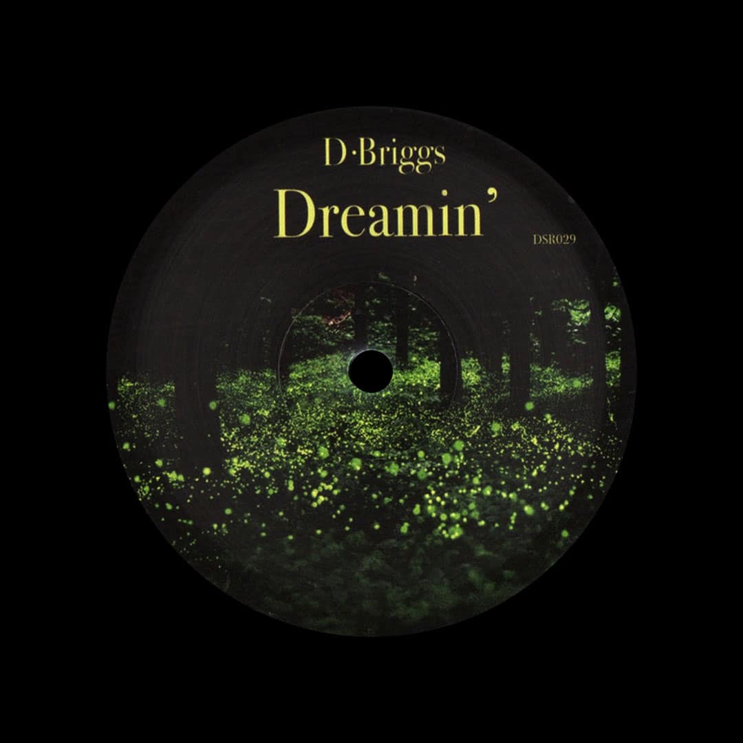 D. Briggs - Dreamin’ - 12