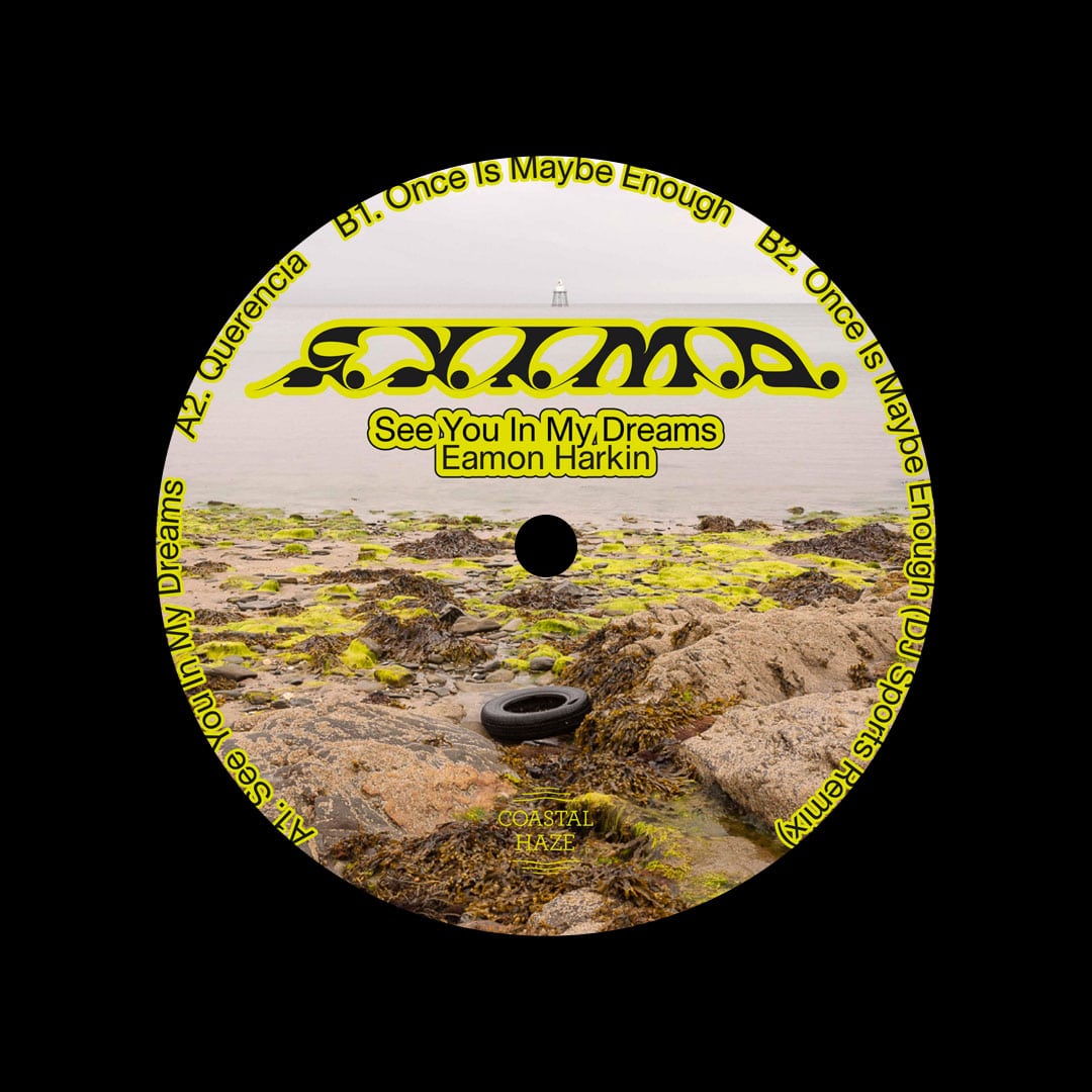 Eamon Harkin - See You In My Dreams - 12