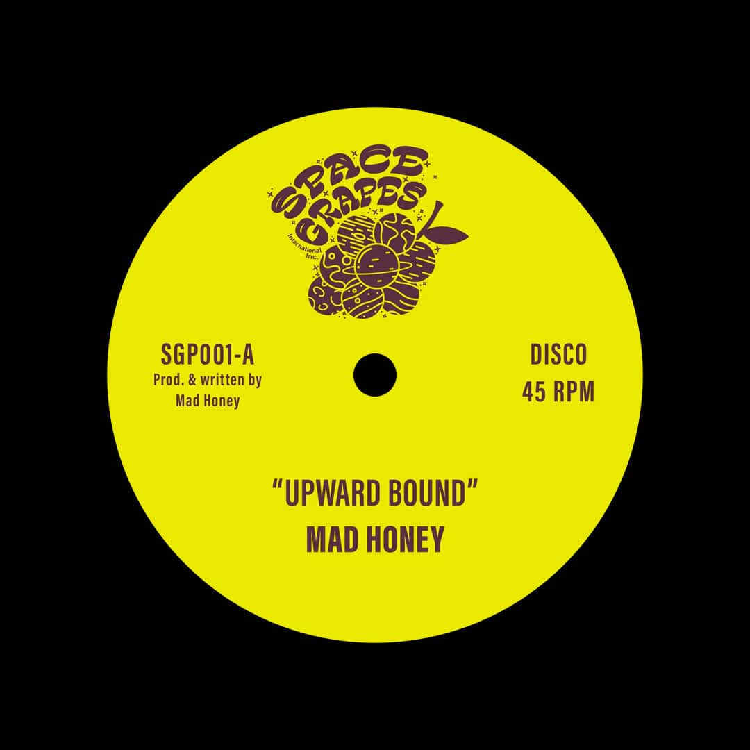 Mad Honey - Upward Bound / Treasure Every Sunset - 12