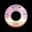 The Power Of Your Love