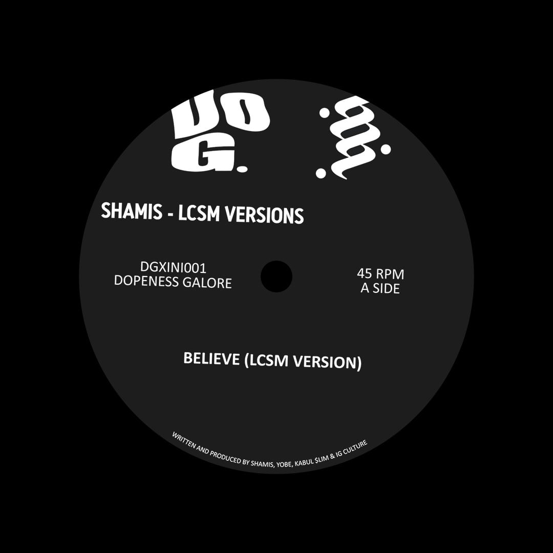 Shamis - Believe (LCSM Versions) - 12