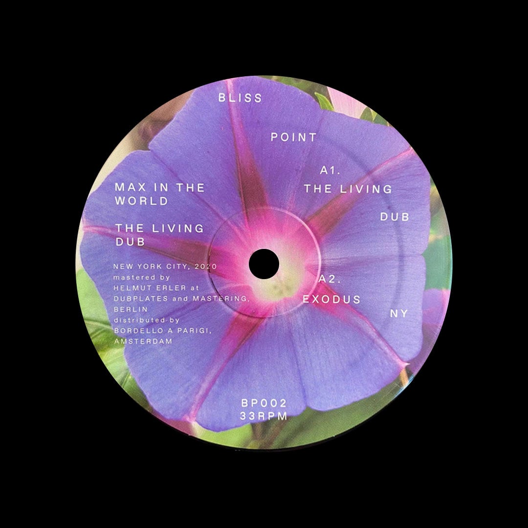 Max In The World - The Living Dub - 12