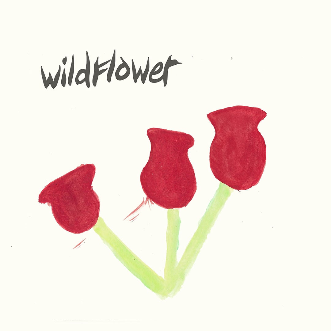 Wildflower - Better Times - lp