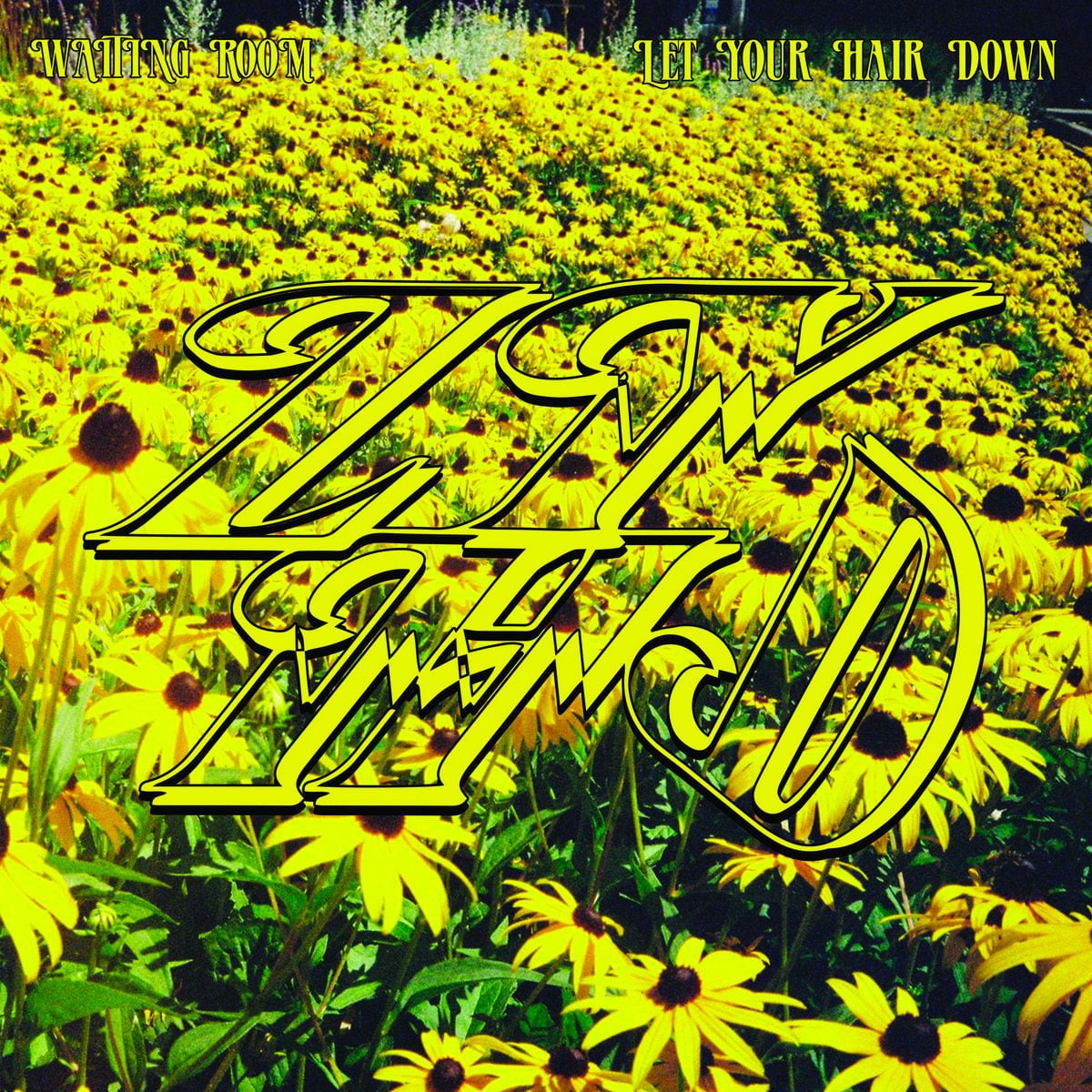Let Your Hair Down - Waiting Room - lp