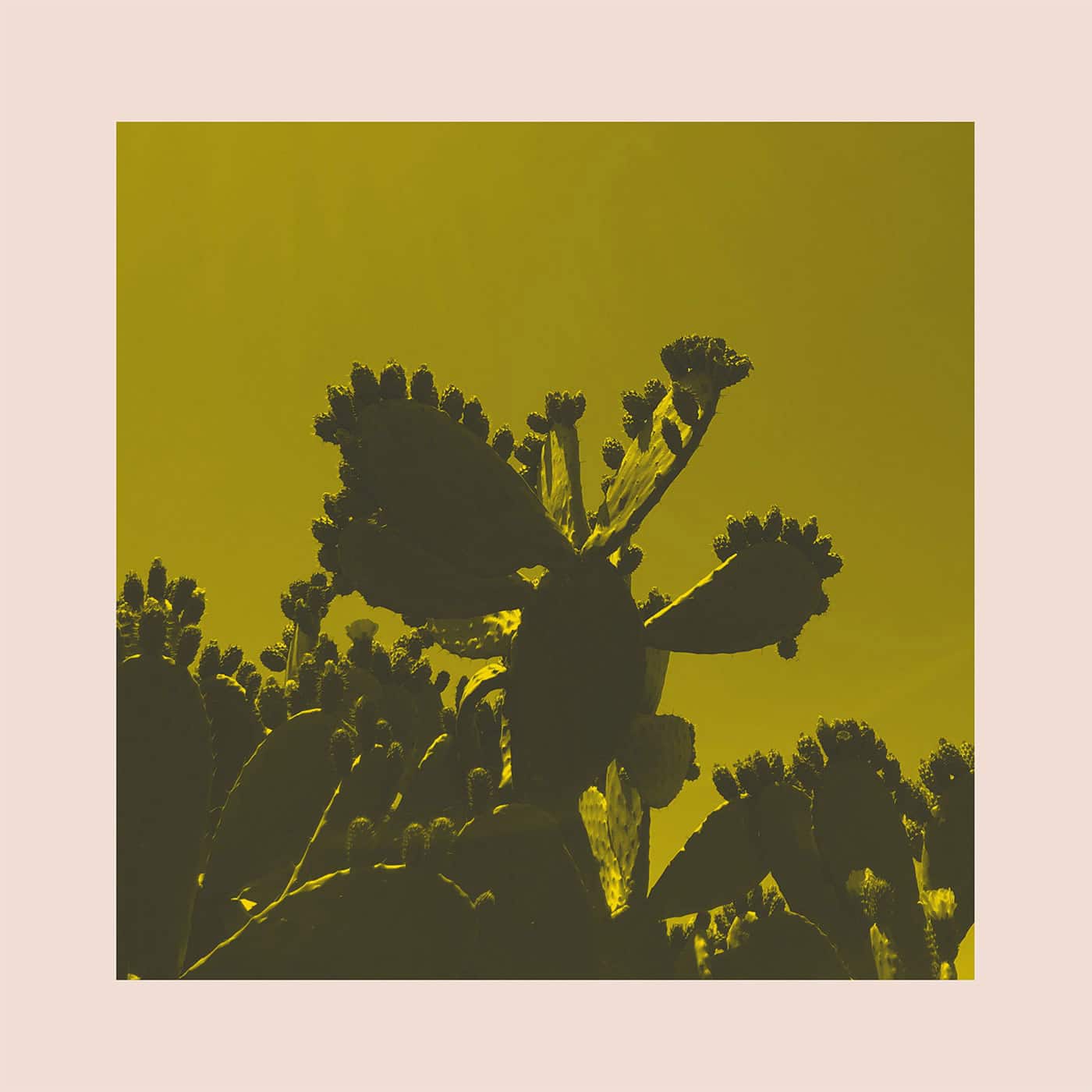 Bright & Findlay - Slow Dance - 12