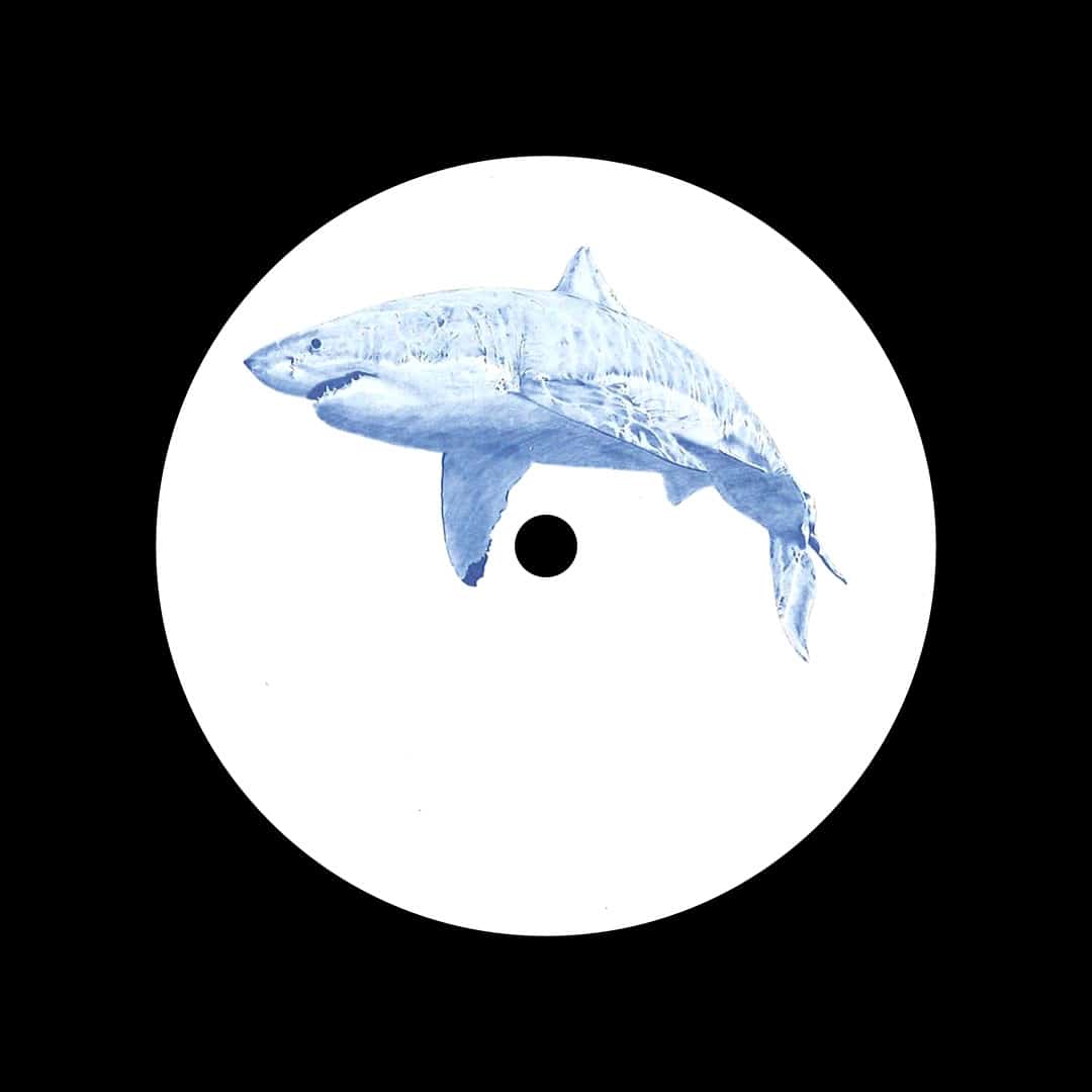 Kyle Hall - The Shark EP - 12