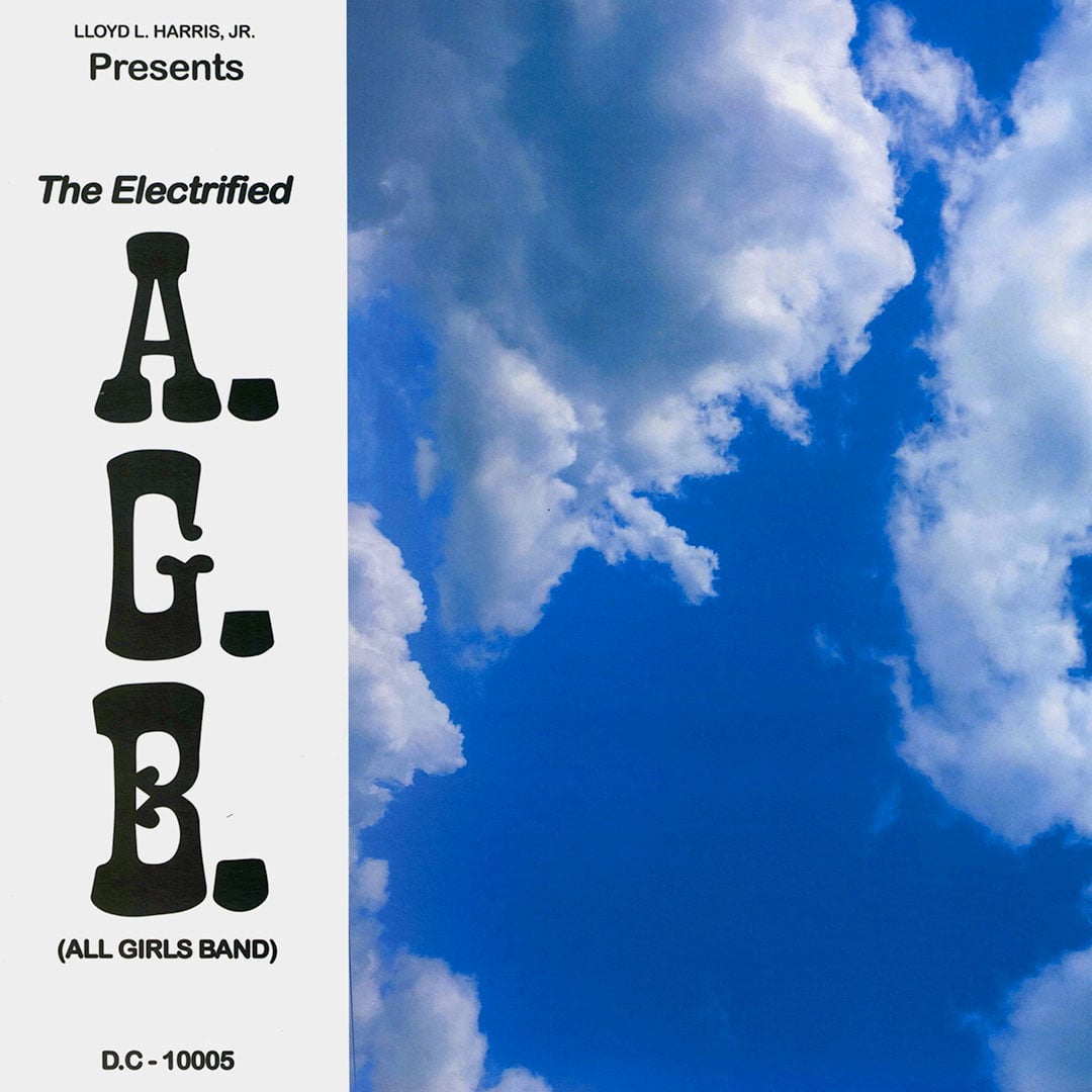 Electrified A.G.B. - Fly Away - 12