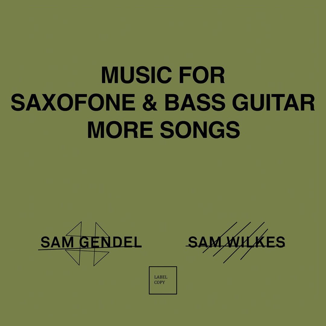 Sam Gendel, Sam Wilkes - Music For Saxofone and Bass Guitar More Songs - lp