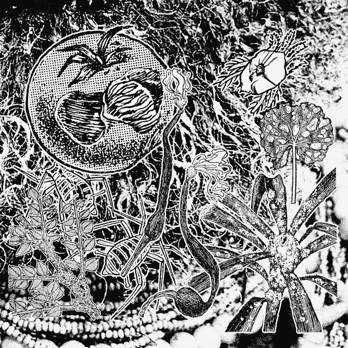 Madteo - Str8 Crooked - 12