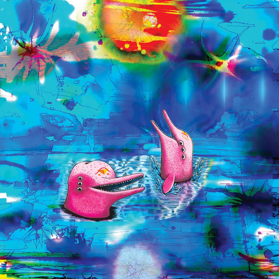 Anteloper - Pink Dolphins - lp