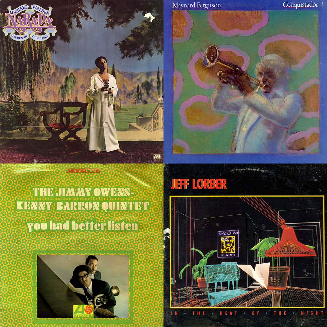 The Sun Is Dancing Bundle