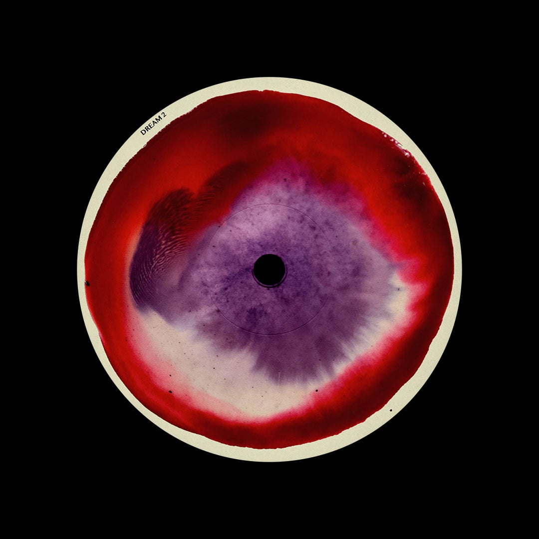 Kennedy - Dream 2 - 12